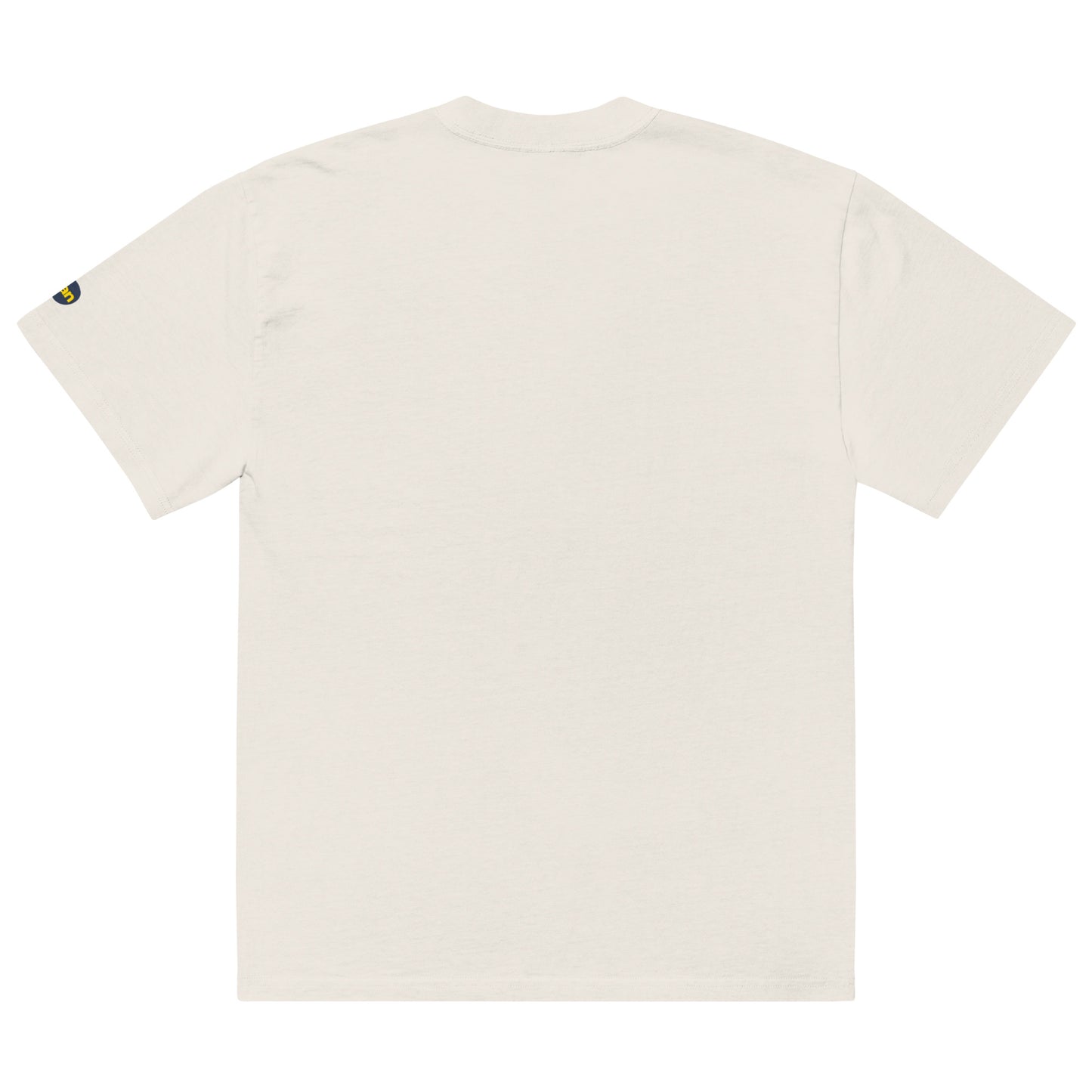 Urban Pulse NY Oversized T-Shirt